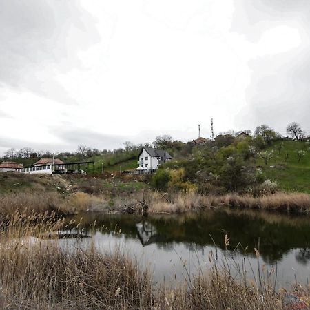 Pensiunea Giulia Turda Exterior foto
